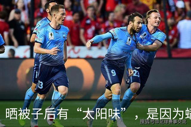 晒被子后有“太阳味”，是因为螨虫被烤焦了？科学家：太阳的功劳