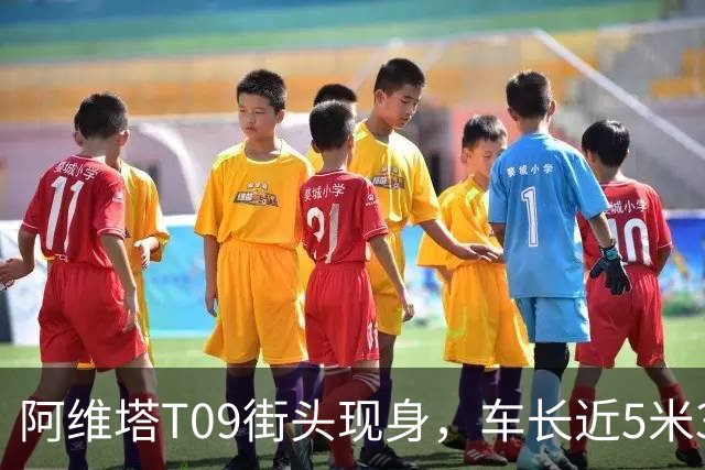 阿维塔T09街头现身，车长近5米3，全系“大六座”，搭载插混动力