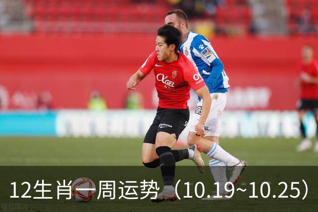 12生肖一周运势（10.19~10.25）